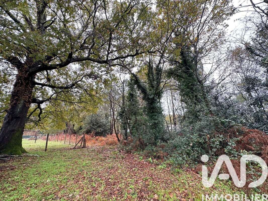 Photo 7 - Maison à VENDAYS-MONTALIVET