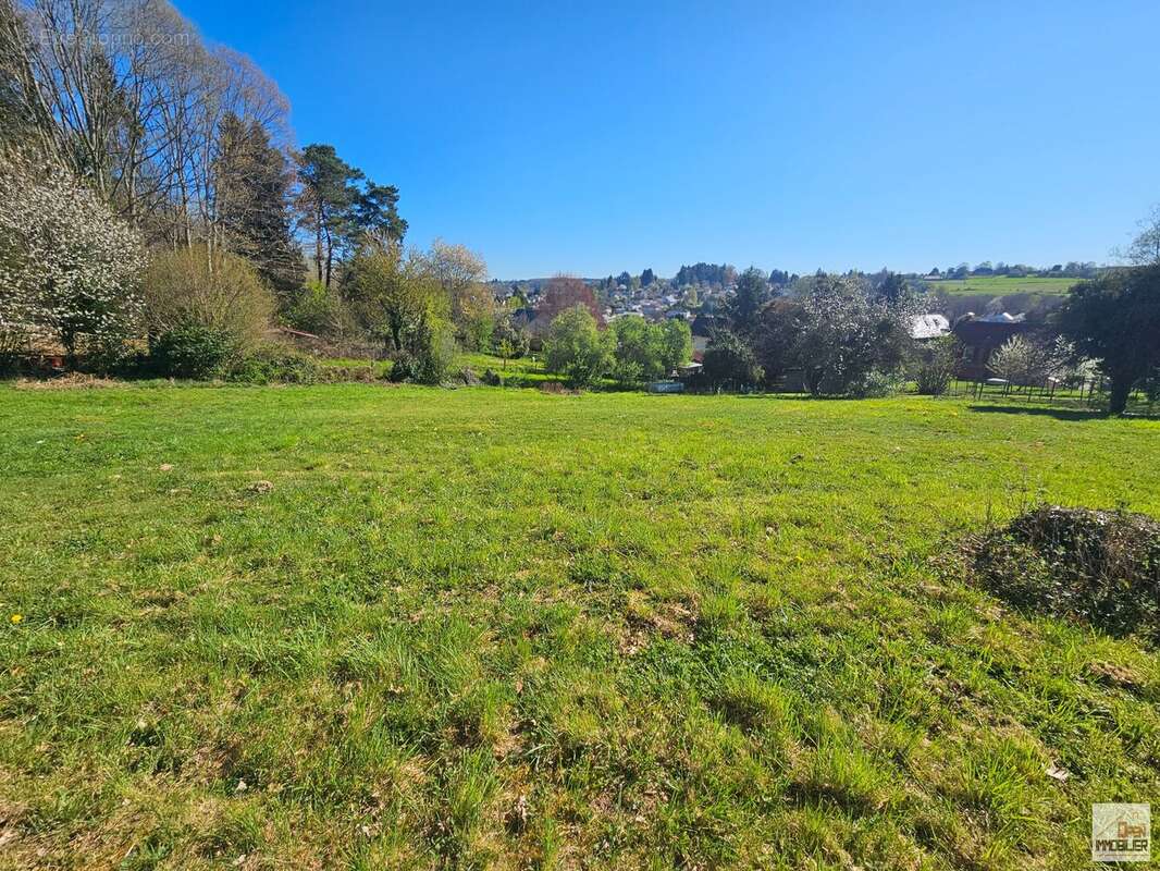 Terrain à CHATEAUNEUF-LA-FORET