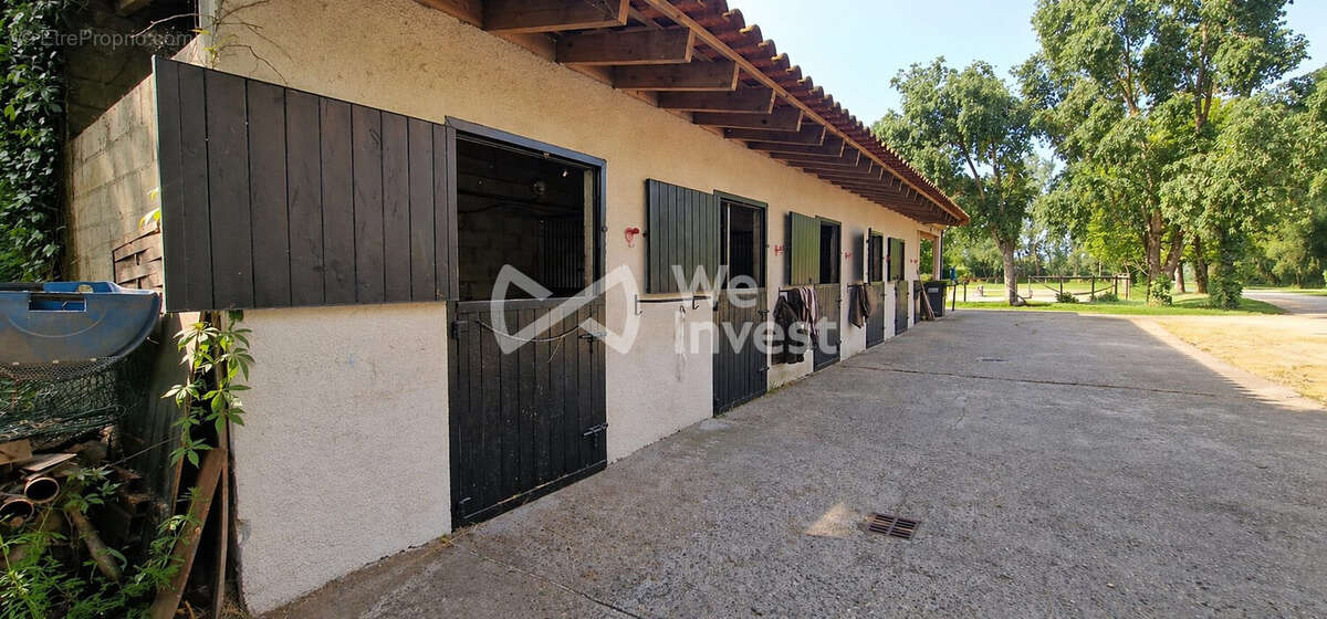 Maison 202 m² à Montauban  - photo 7