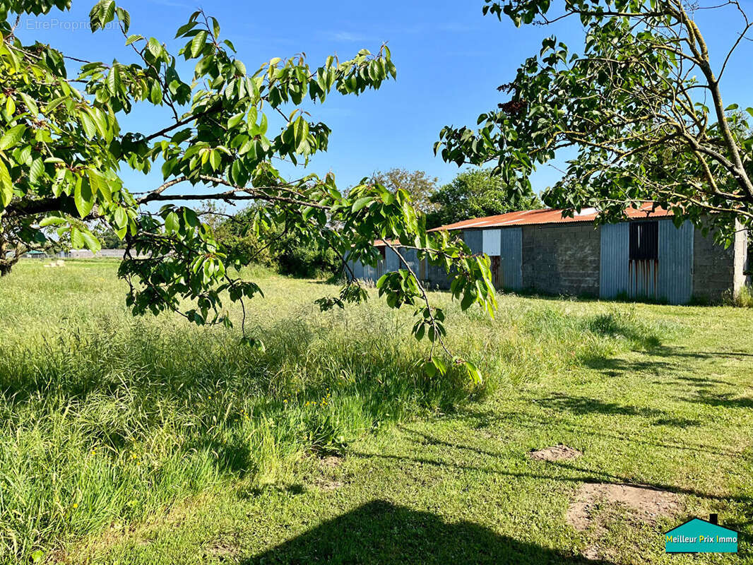 Maison à BOURGNEUF-EN-RETZ