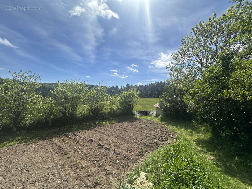 Maison à PRESAILLES
