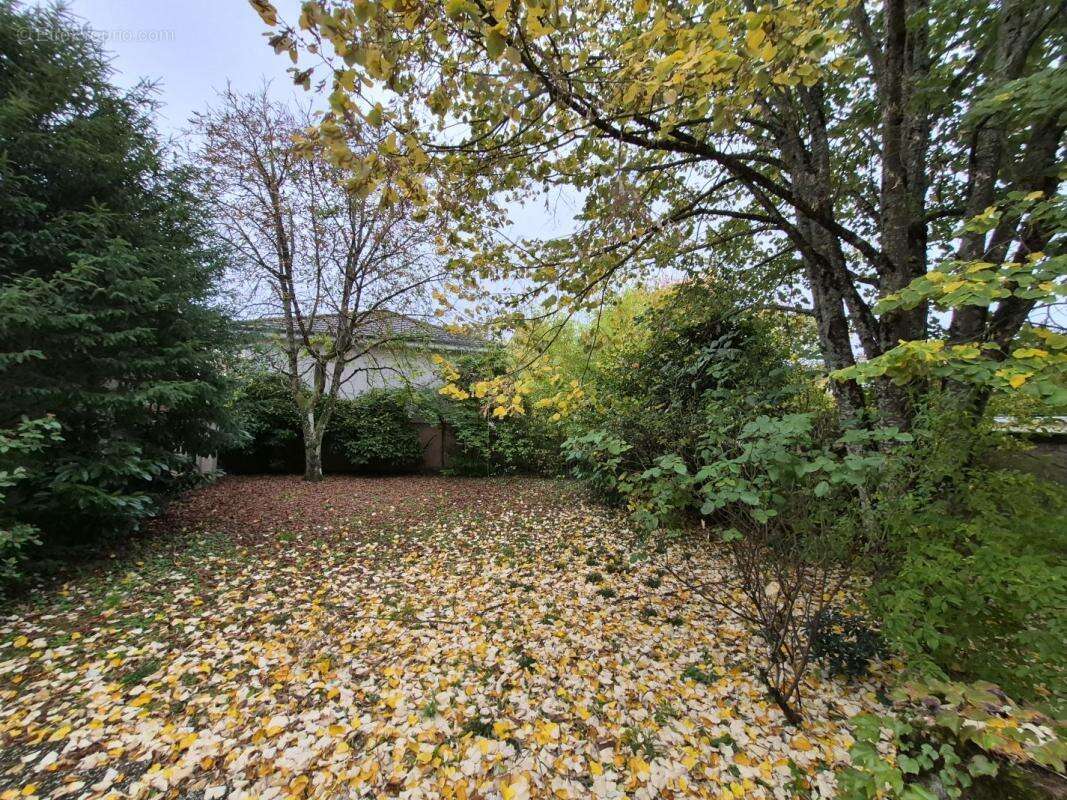 Maison à BOURG-EN-BRESSE