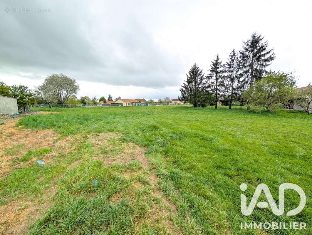 Terrain 4024 m² à Lussac-Les-Chateaux  - photo 3