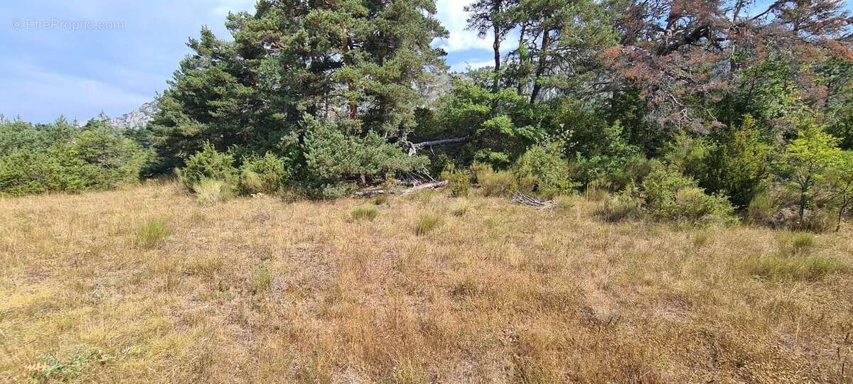 Terrain constructible de 1 990 m² – Un cadre naturel privilégié - photo 9