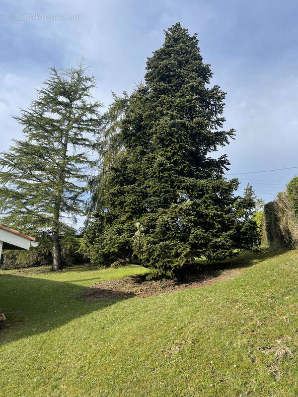 Maison à MOUGUERRE