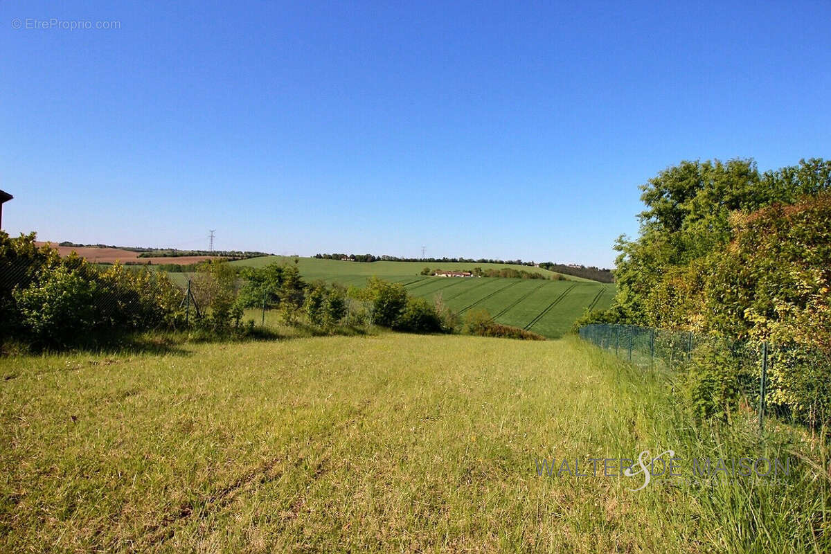 Terrain à SAINT-LEON
