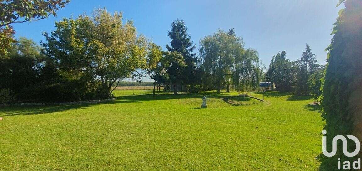Photo 5 - Maison à MONT-PRES-CHAMBORD