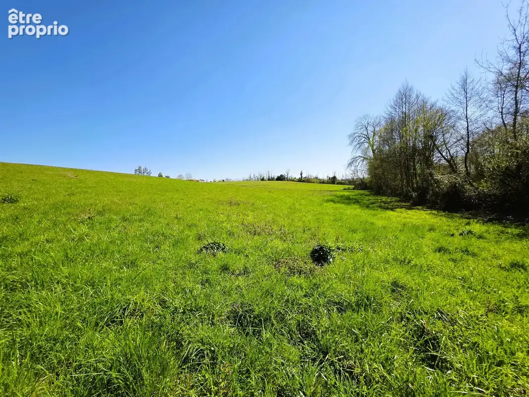 Vente Terrain Agricole Proche Monségur - photo 6