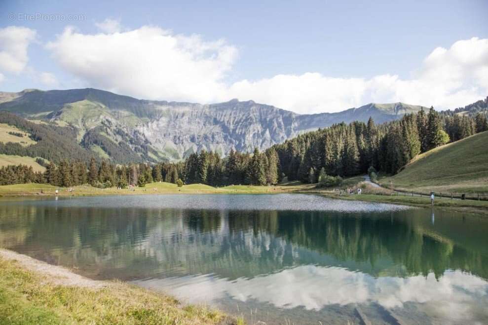 INVESTISSEMENT LOCATIF  Megève  Résidence de tourisme Mamie Megève - 4.14% de rentabilité - photo 14