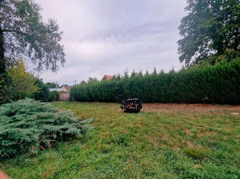 Terrain à MILLY-LA-FORET