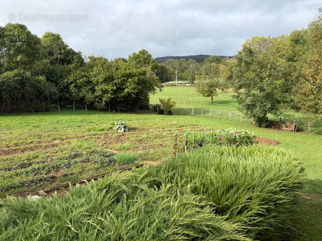 Terrain à VILLEREVERSURE