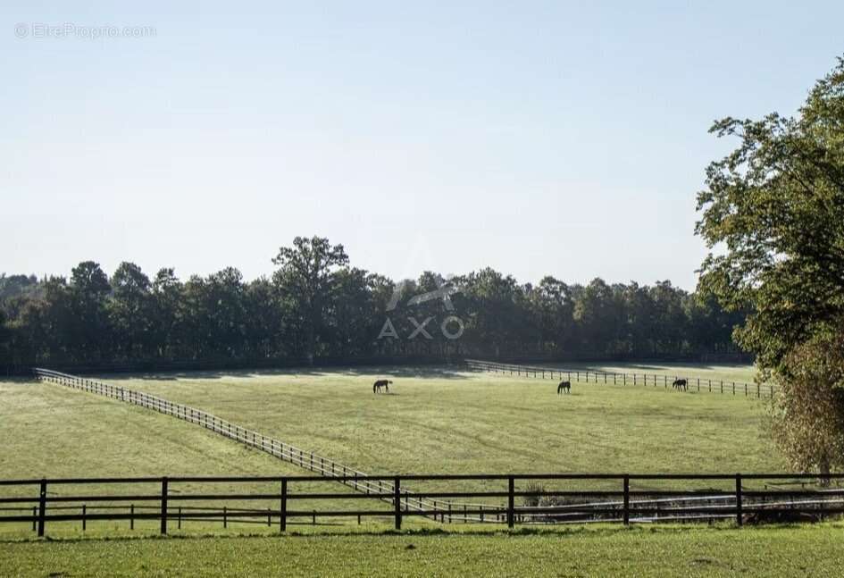 Maison à LA FERTE-MACE