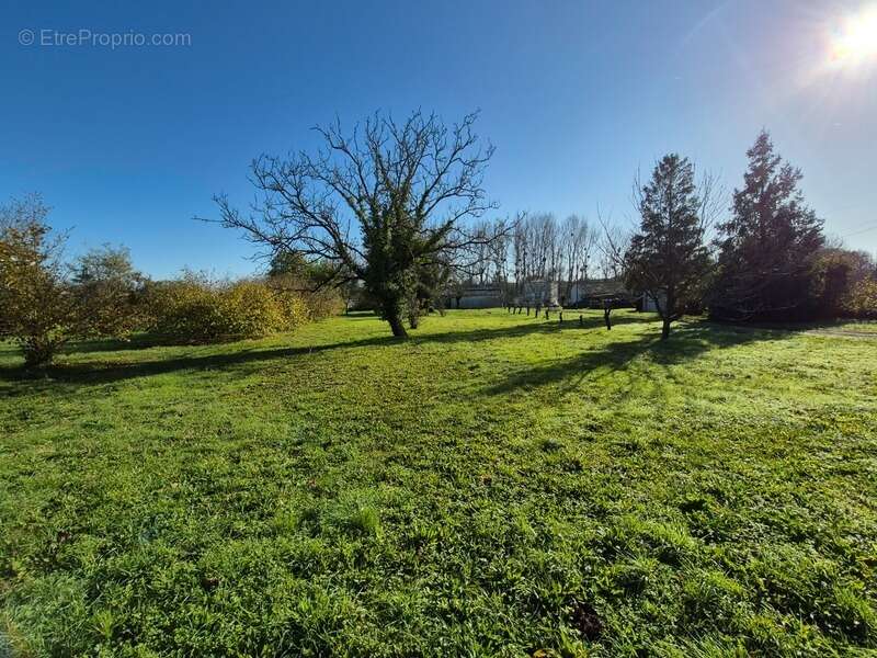Terrain à SAINT-SAVINIEN