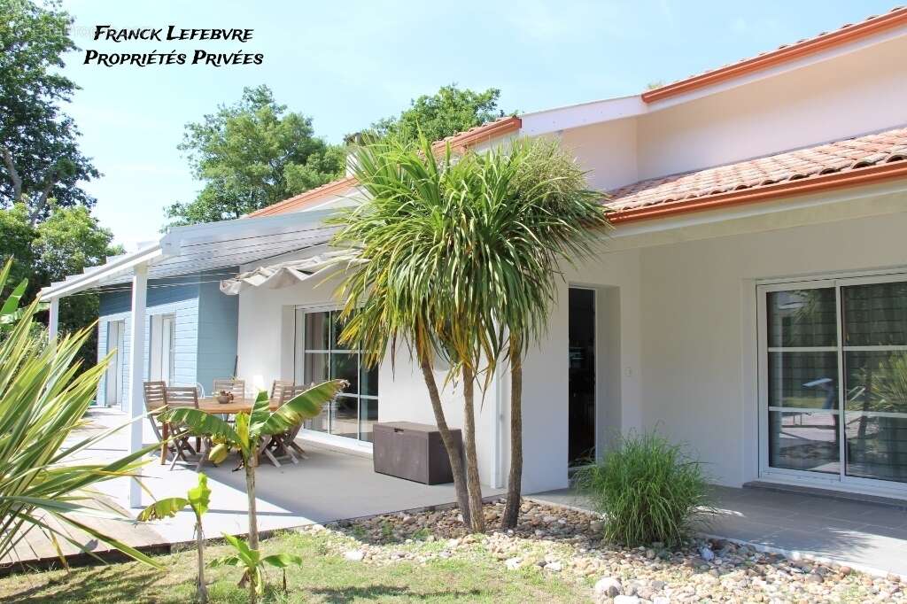 Maison à MONTESCOT
