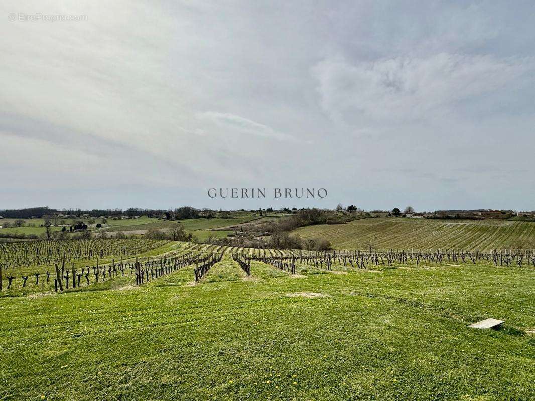 Maison à MONBAZILLAC