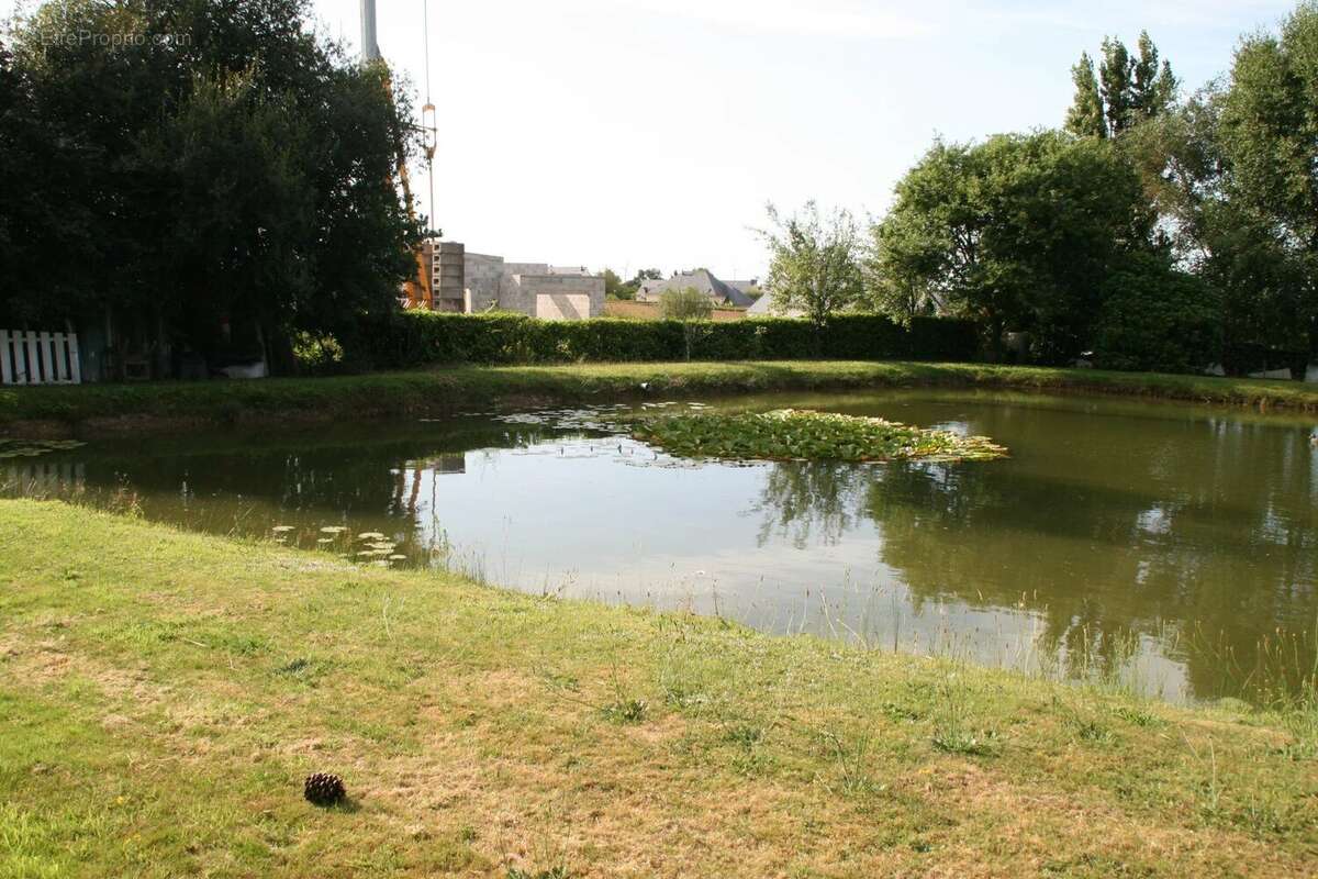 Vente Terrain Guegon(56120) 40 000ï¿œ - photo 9