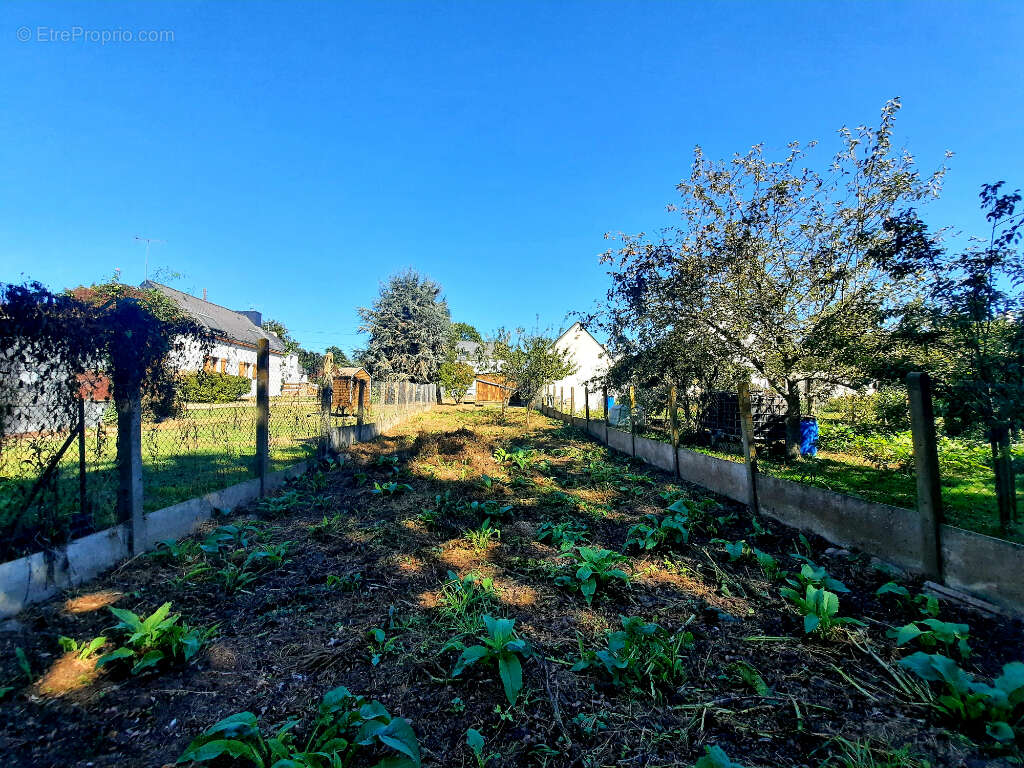 Terrain à SAINT-JOACHIM