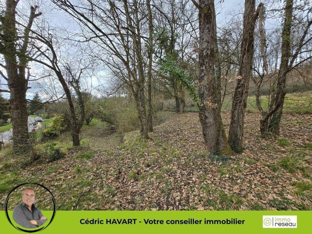 Terrain à SEIGY