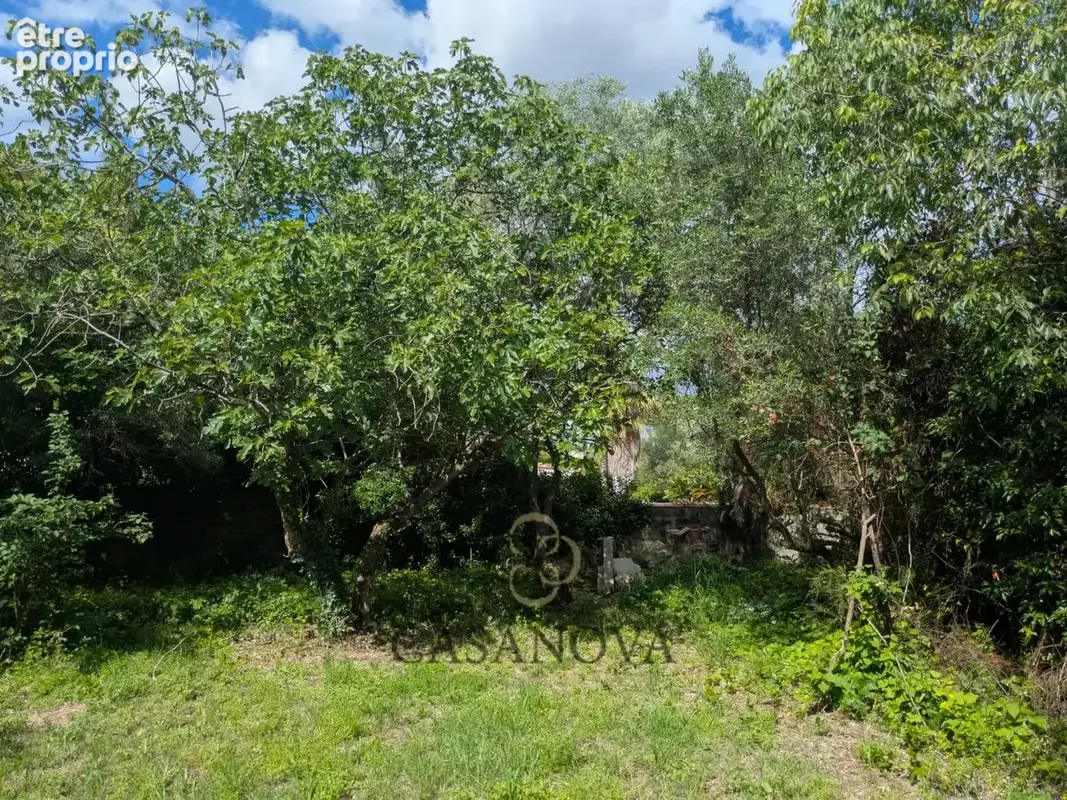 Villa familiale à rénover aux portes de Montpellier  terrain divisible, fort potentiel et jardin arboré - photo 6
