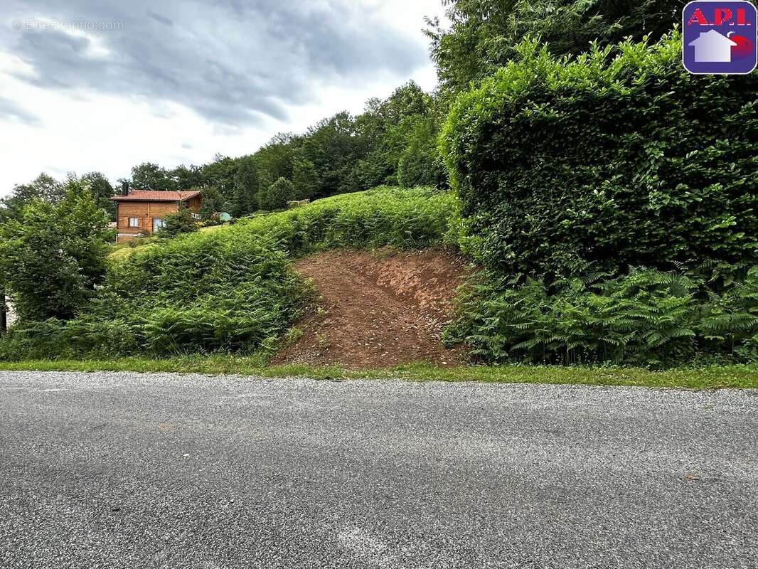 Terrain 2292 m² à Rimont  - photo 4