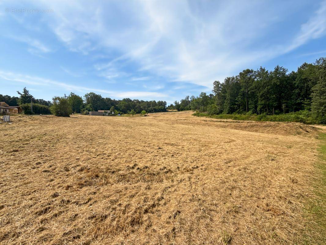 Terrain à NOTRE-DAME-DE-SANILHAC