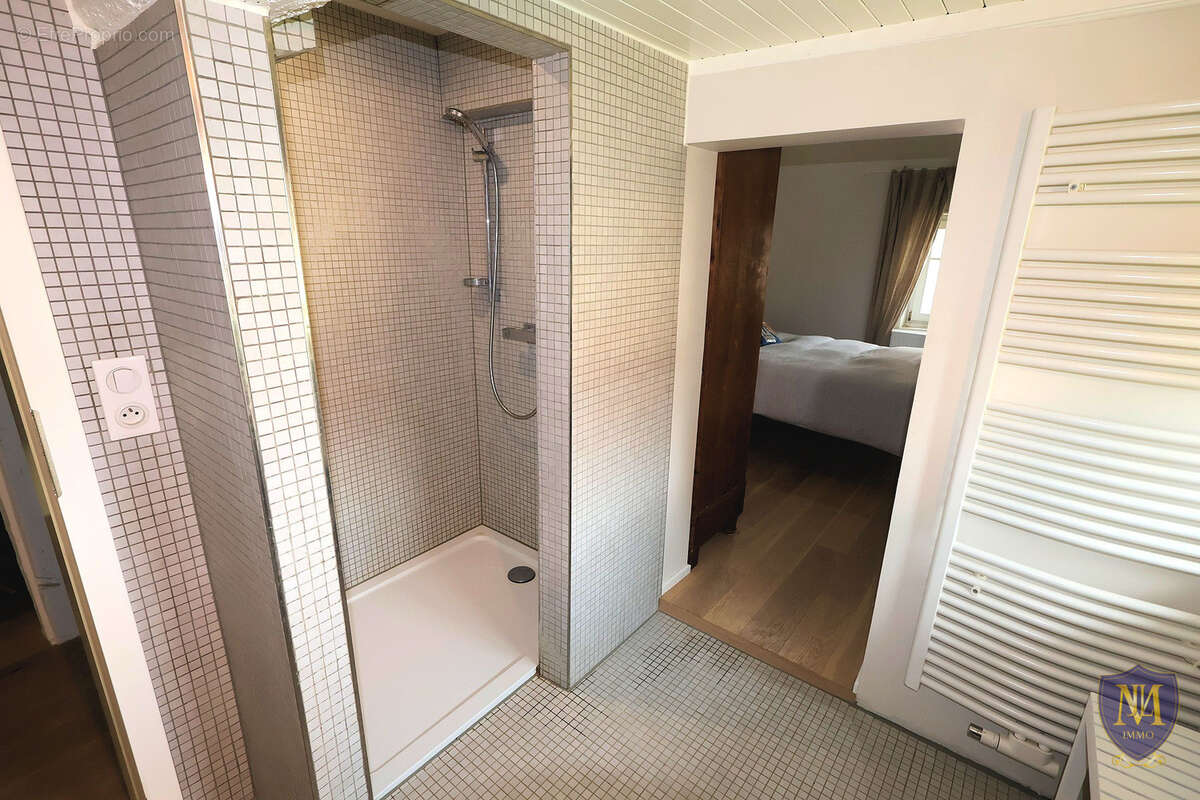 Magstatt-le-haut maison familiale avec piscine - cadre calme et sécurisé - photo 23