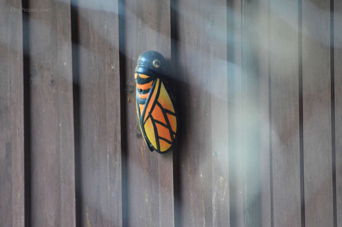 Maison à ARLES-SUR-TECH