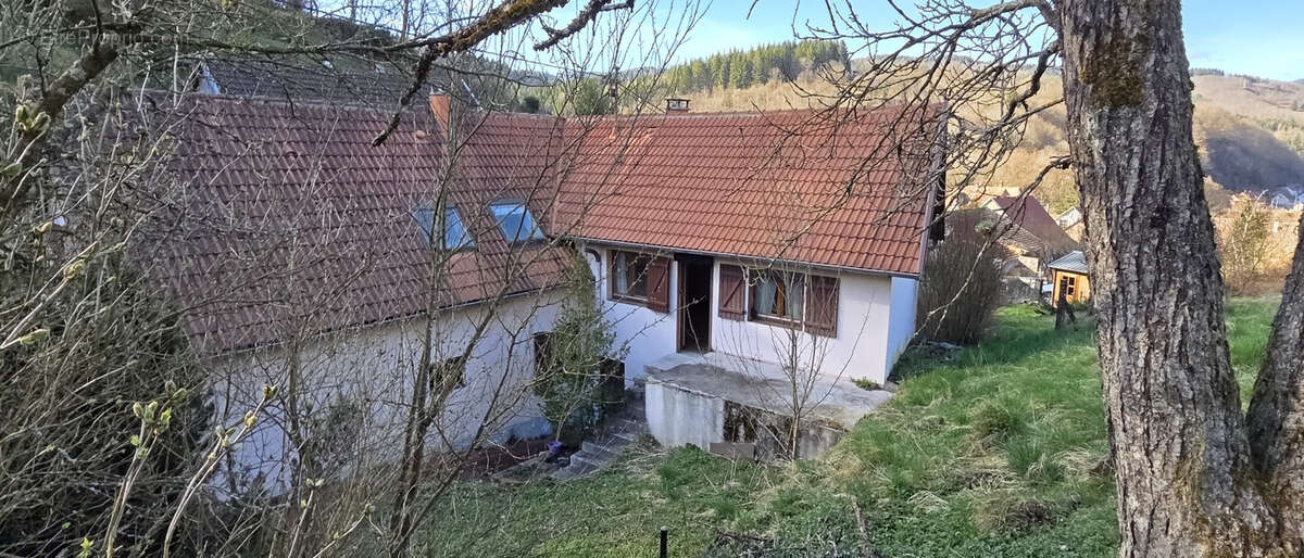 Maison à ROTHAU