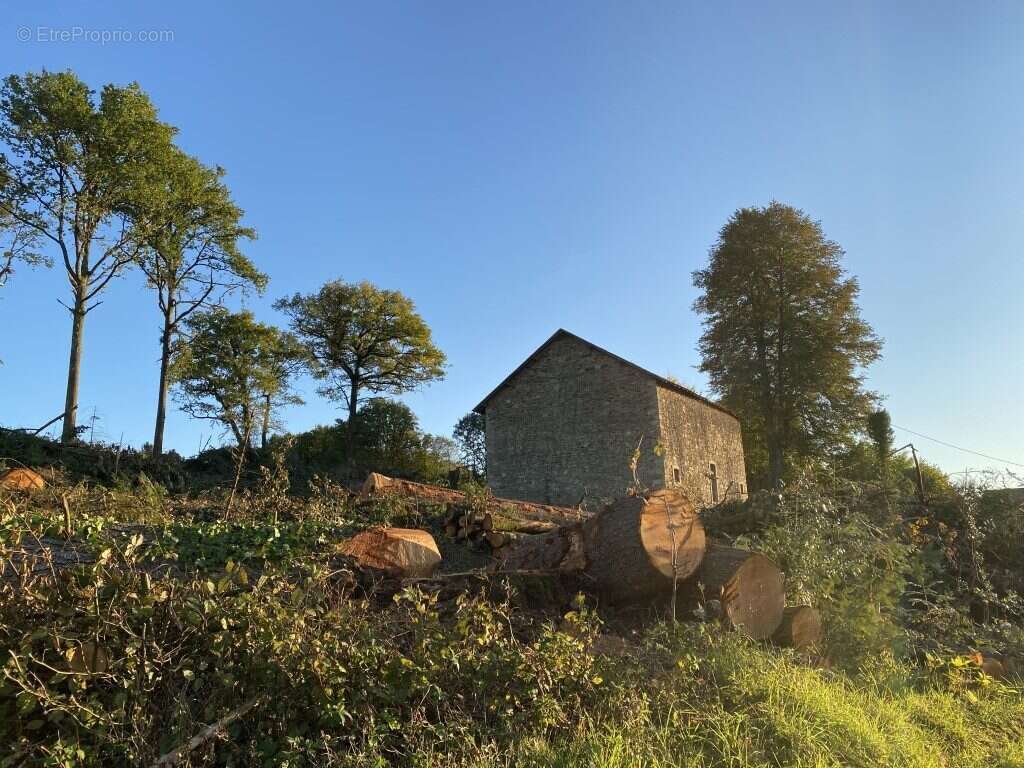 Terrain à NEUVIC-ENTIER