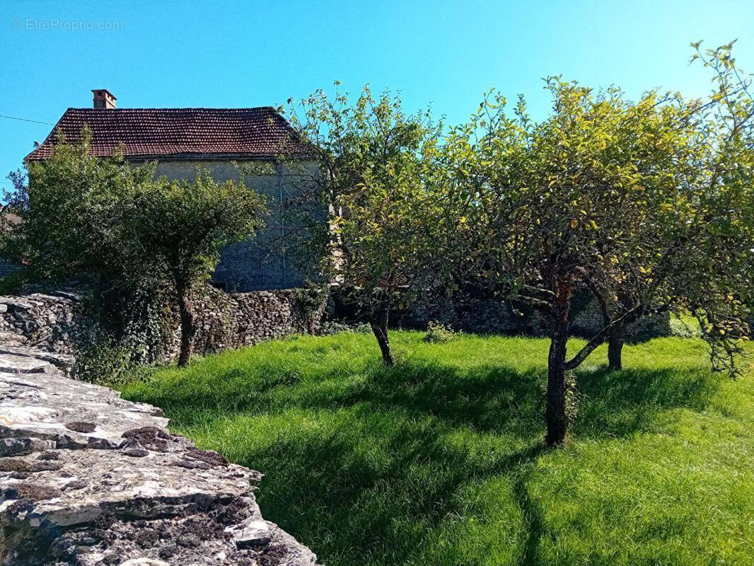 Maison à SAINT-JEAN-DE-LAUR