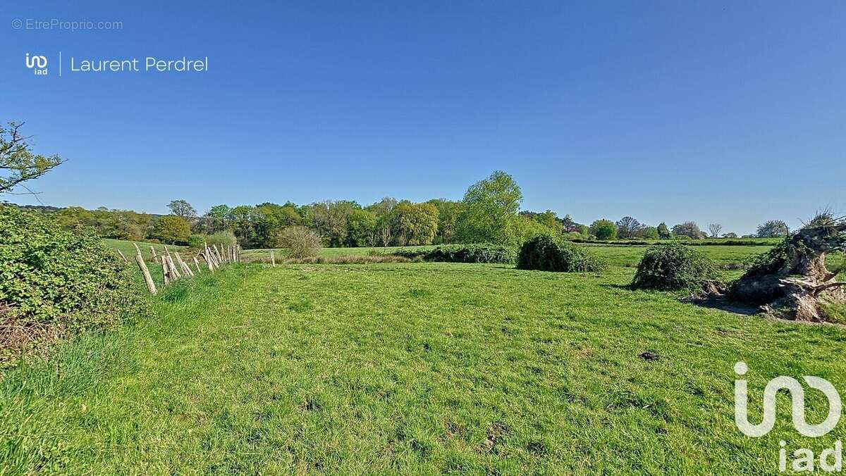 Photo 5 - Terrain à ALLAIRE
