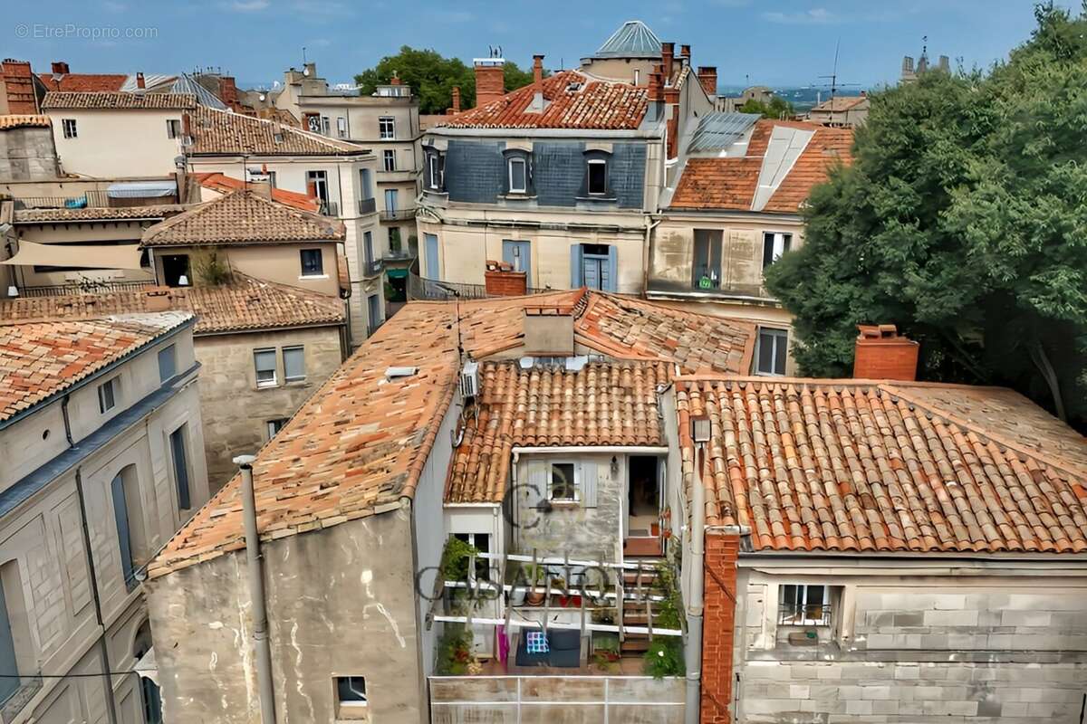 Appartement à MONTPELLIER