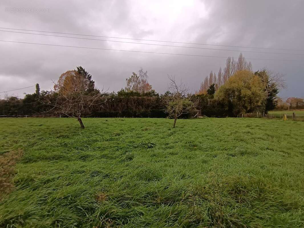 Maison à PERCY-EN-AUGE