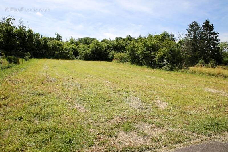 Terrain à DUN-SUR-MEUSE