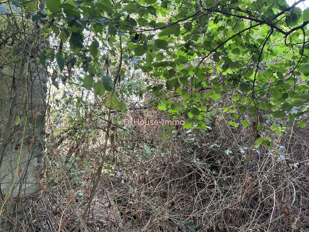 Maison à SAINT-PLANTAIRE