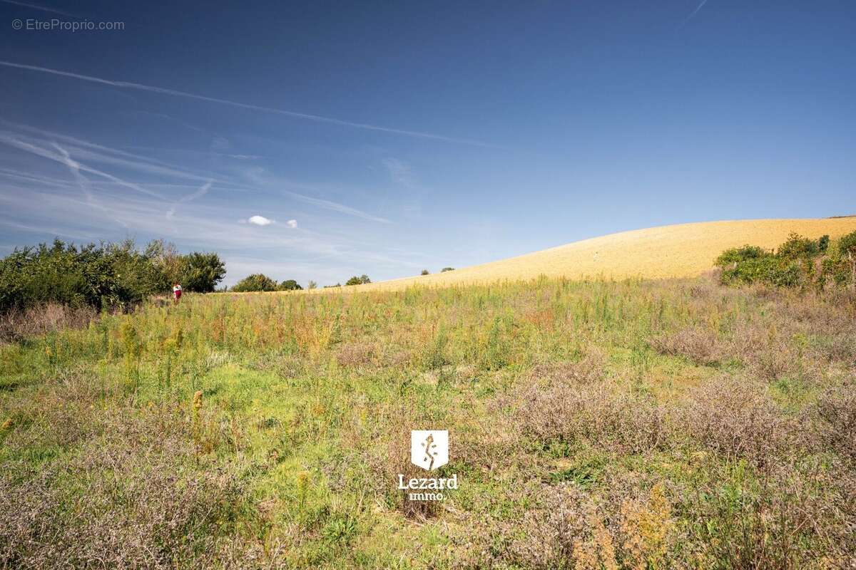 Terrain à SAINT-MICHEL-DE-LANES