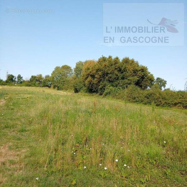 Terrain à TRIE-SUR-BAISE