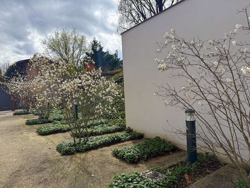 Appartement à TASSIN-LA-DEMI-LUNE