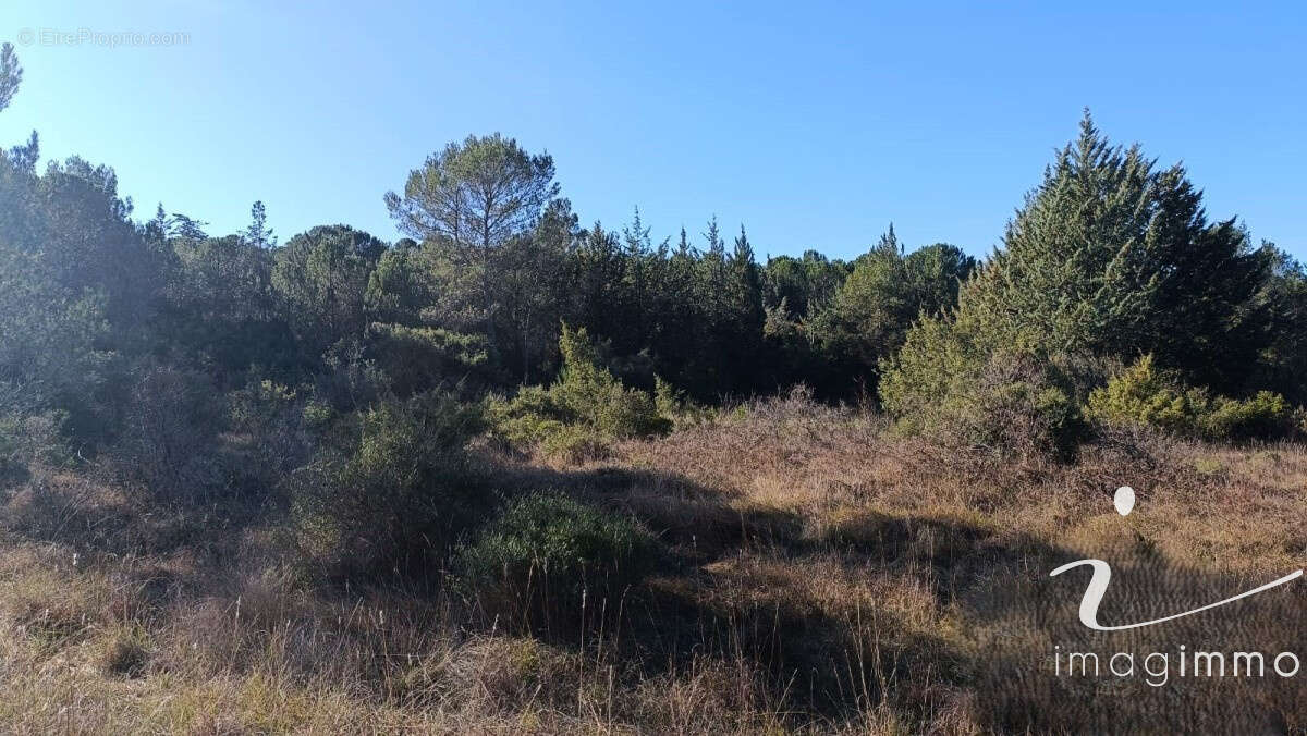 Vente terrain agricole - photo 3