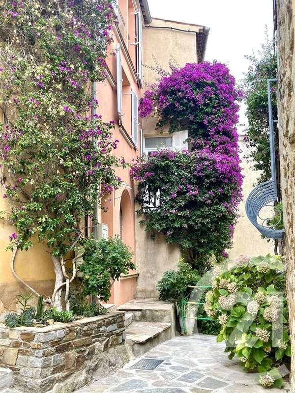 Maison à BORMES-LES-MIMOSAS