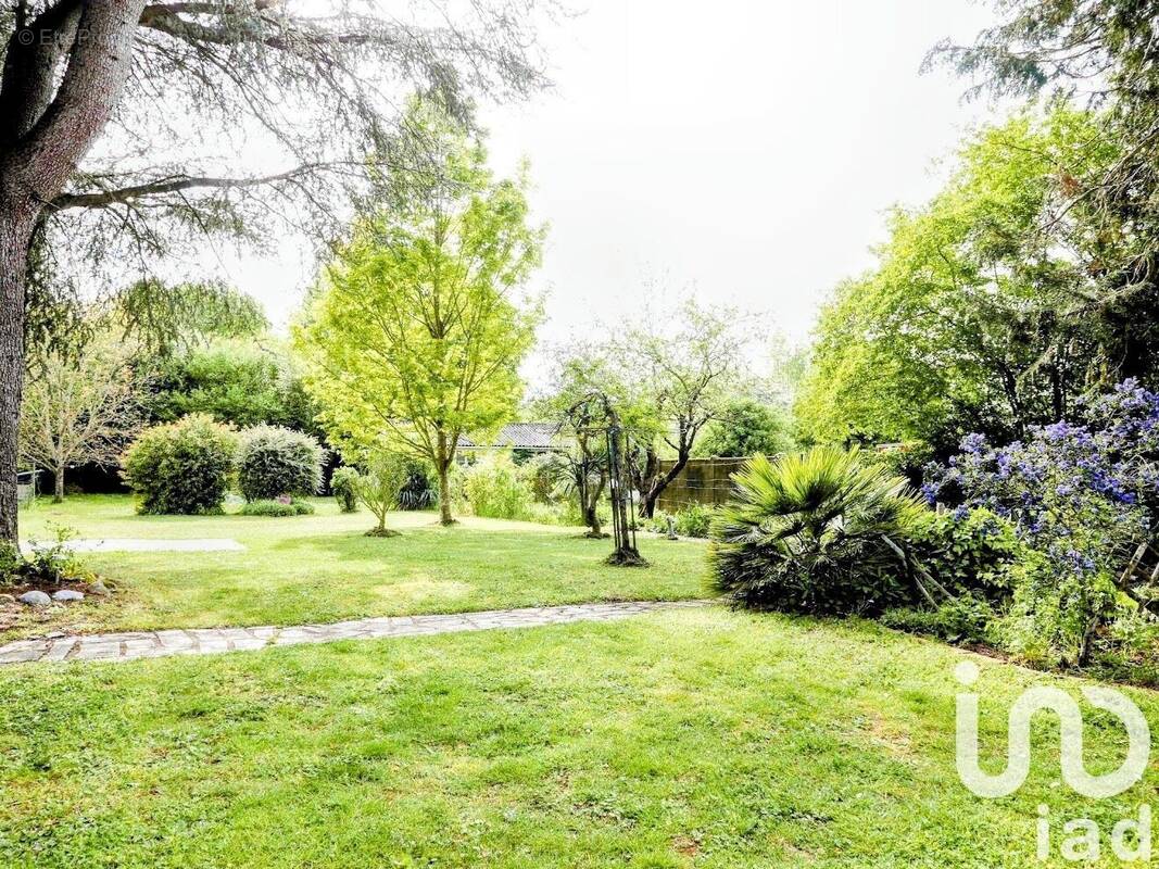 Photo 1 - Maison à COULAINES