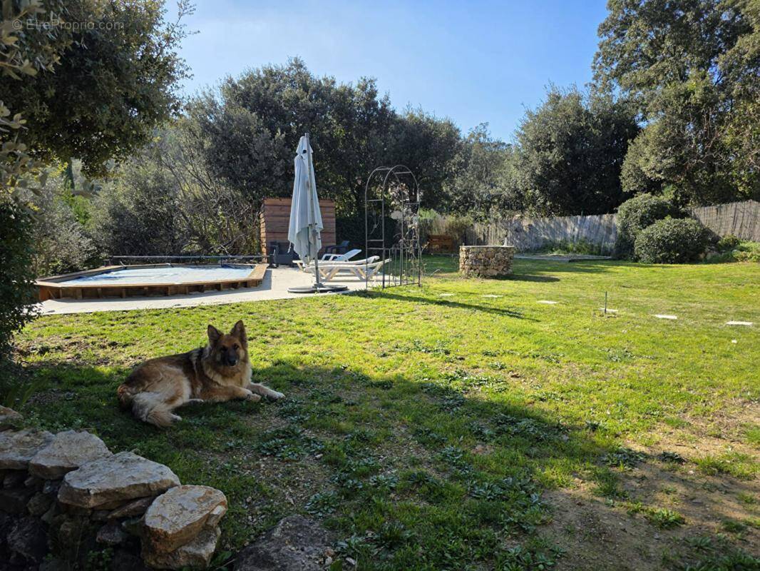 Maison à LE THORONET