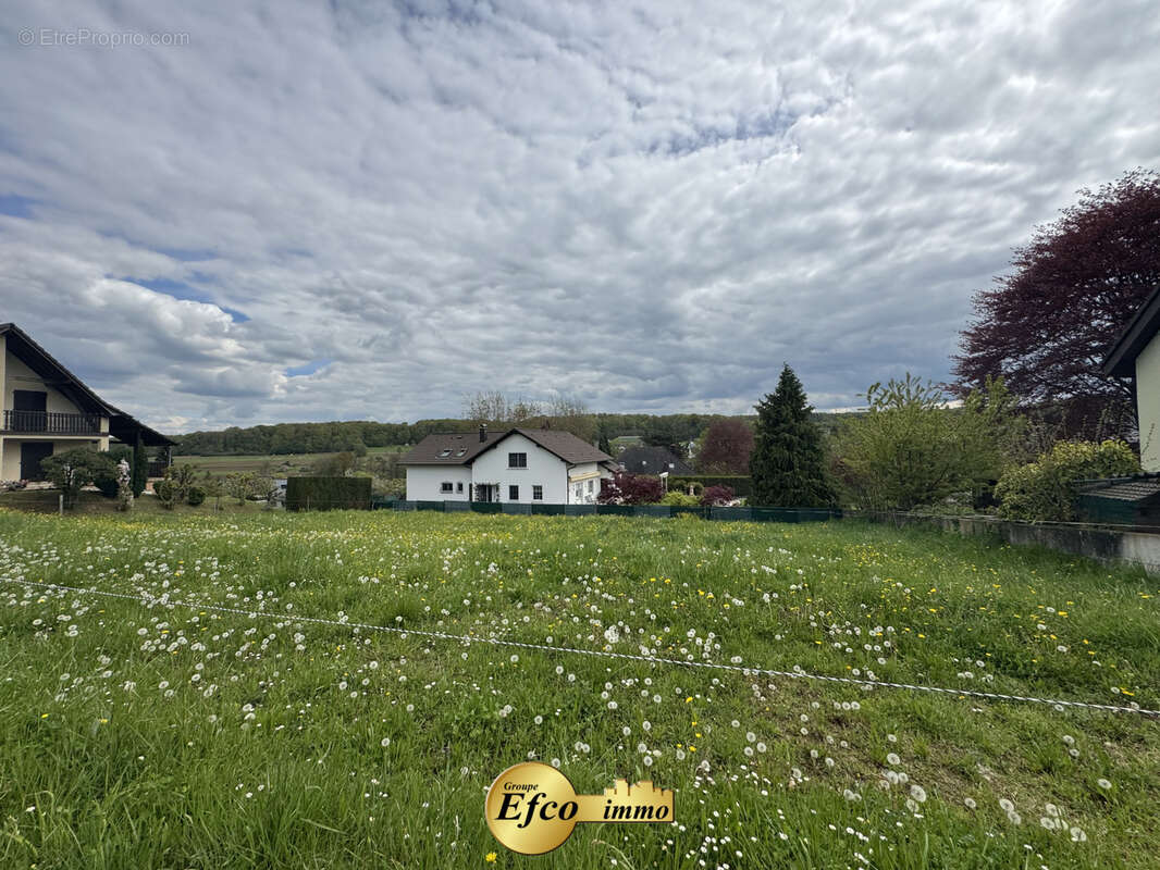 Terrain à NEUWILLER