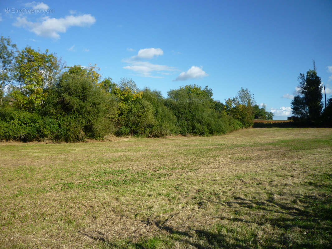 Terrain de loisir - photo 9