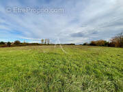 Terrain à SOINGS-EN-SOLOGNE