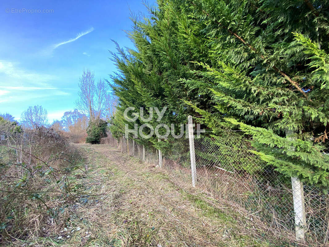 Terrain à NANTEAU-SUR-ESSONNE