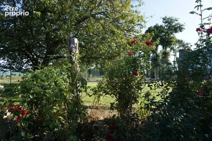 Ensemble immobilier de 4 appartements - photo 16
