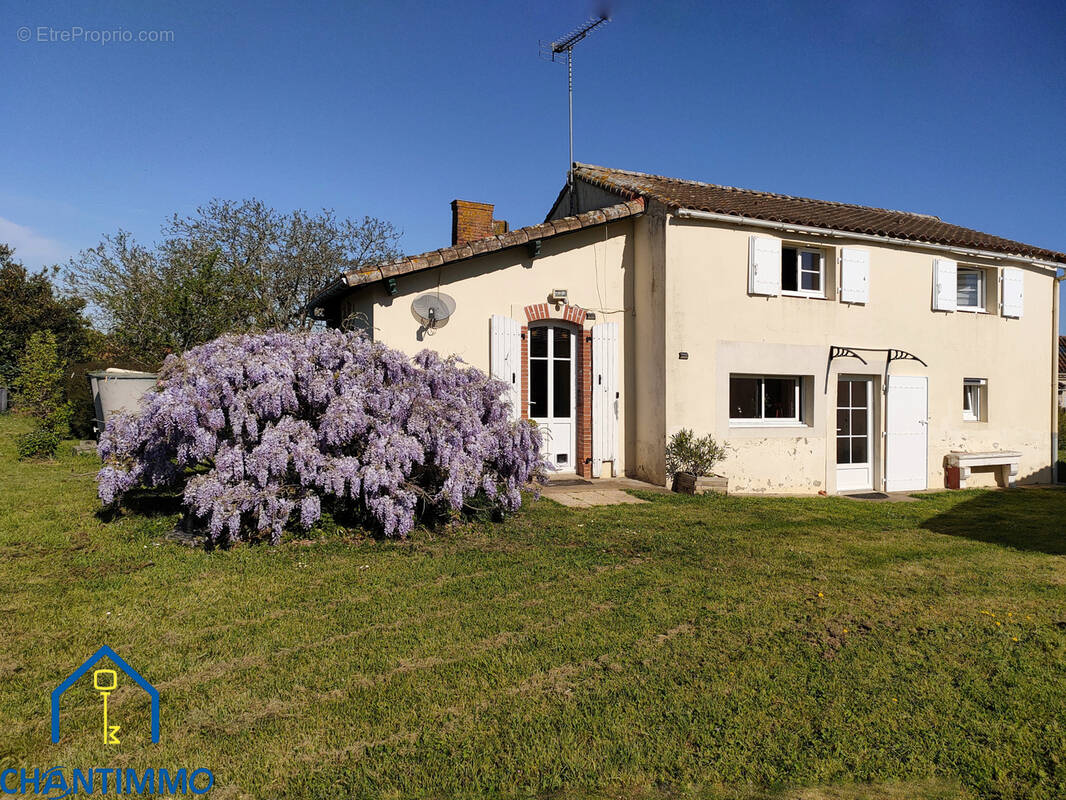 Maison à LUCON