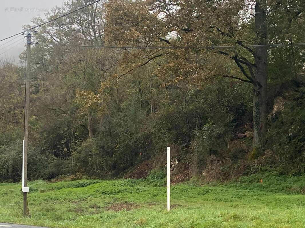 Photo 2 - Terrain à FIGEAC