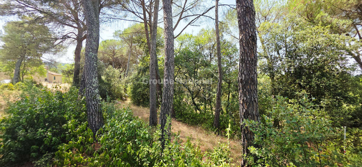 Terrain constructible Sabran 1567 m2 - photo 2
